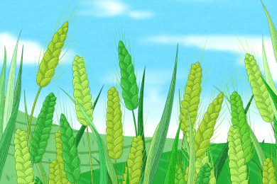 二十四节气-小满