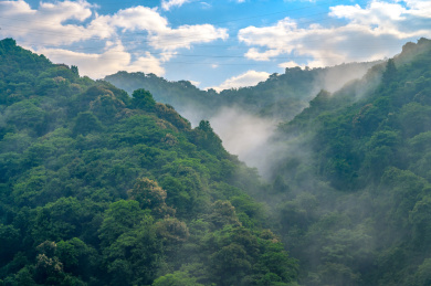 中国湖南省郴州市小东江景区早上山间晨雾