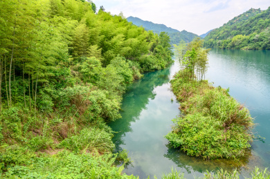 中国湖南省郴州市小东江风景区竹林风光