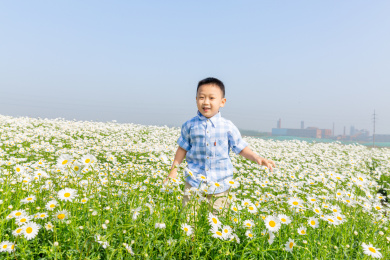 夏天男孩在郊外花海玩耍