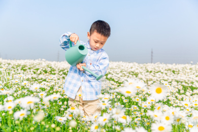 夏天上午男孩在花丛浇花