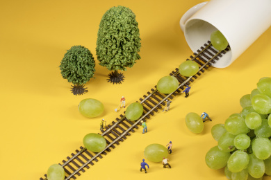 正在搬运葡萄的生产队