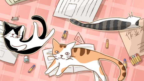 三只小猫躺在书桌上