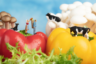 各类蔬菜鲜艳色彩农场奶牛与农民