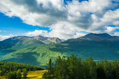 中国新疆阿勒泰地区喀纳斯景区风光