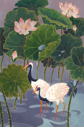 在荷塘里觅食的丹顶鹤中国风插画