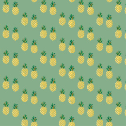 矢量水果插画背景