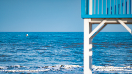 海鸟飞过海边瞭望台