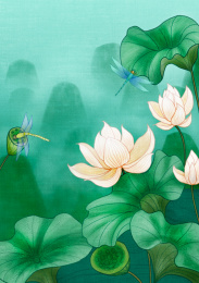 荷花盛开的夏天