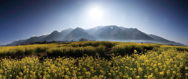 壮美的腾冲界头油菜花