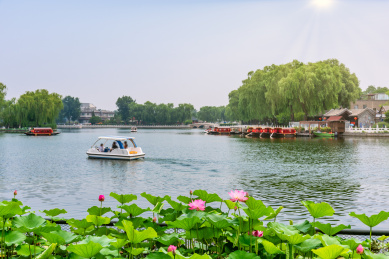 北京什刹海公园的荷花池园林建筑