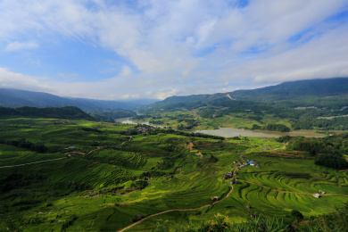 云南保山市龙陵县龙江乡大美田野