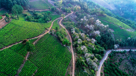 中国云南德宏仙佛洞白花山