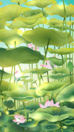 蓝天下的田田荷叶