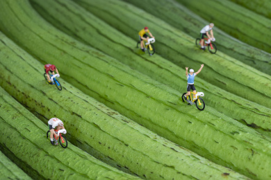 丝瓜上骑行的运动员