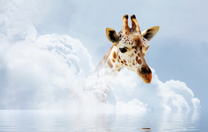 长颈鹿和白云组成的空气污染海报