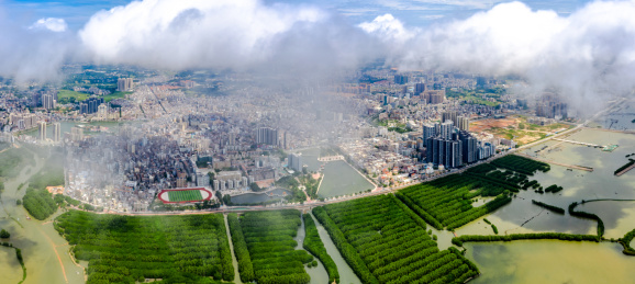 广东省茂名市电白区水东海滨新区万亩红树林