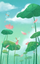 夏日的荷花荷叶