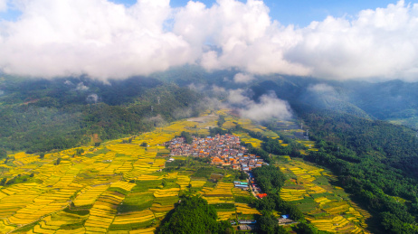 云南省德宏州梁河县芒东镇山间梯田