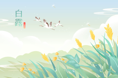 白露节气矢量插画