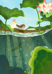 在荷花池中的青蛙与岸上的小鸟