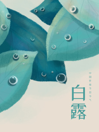 白露节气节日秋天露水插画