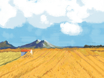 手绘夏季丰收背景插画