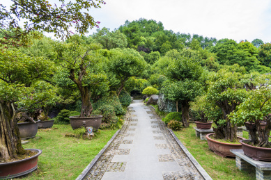 中国浙江省衢州市开化县根宫佛国的园林