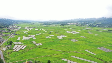 云南省德宏州龙川县的田园风光