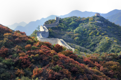 层林尽染八达岭长城