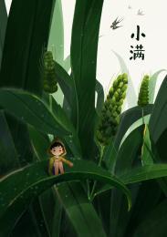 24节气插画  小满