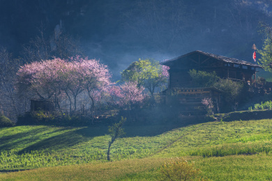 中国云南怒江贡山县丙中诺雾里村春天的风光