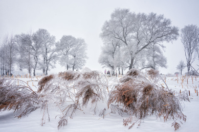 中国吉林省吉林省雾凇岛的风光