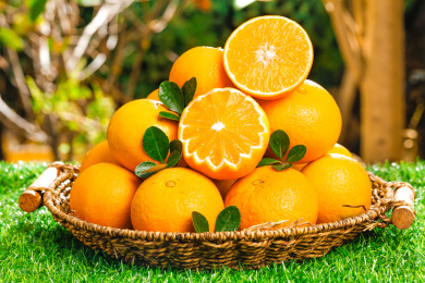 绿色草坪上放着一蓝果冻橙和切面的橙子