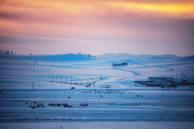 中国内蒙古乌兰布统冬季雪景