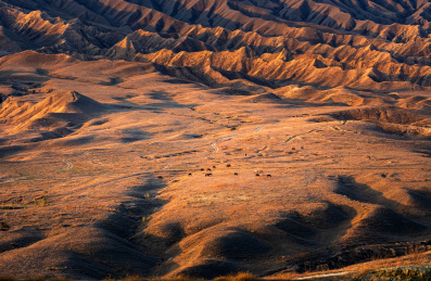 中国新疆克拉玛依独山子泥火山的牧场