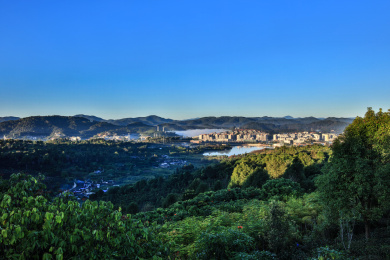 中国云南省普洱市中国茶城茶叶种植基地自然景观