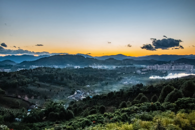 中国云南省普洱市中国茶城茶叶种植基地自然景观