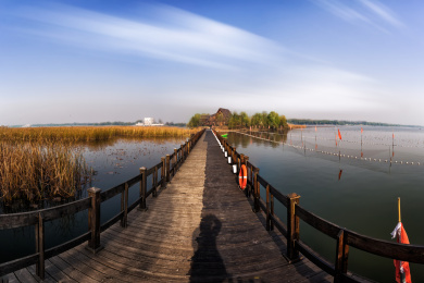 河北衡水湖国家级自然保护区碧水湾港木栈道