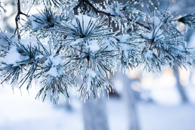 冬天冰雪过后的雪地