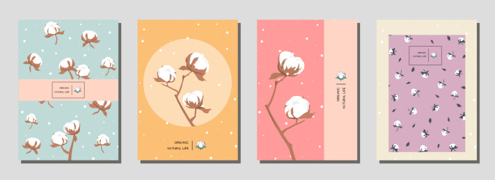 植物棉花的马卡龙色平面矢量海报素材