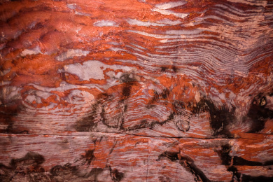 约旦佩特拉古城建筑内部红色的岩石纹理