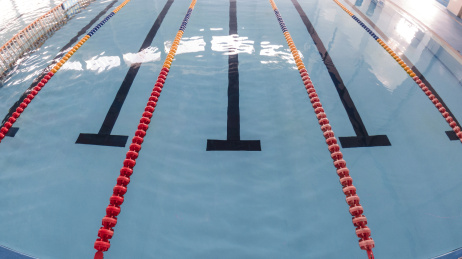 游泳池内清澈的水