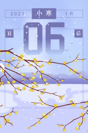冬季小寒腊梅花盛开下雪日历插画海报
