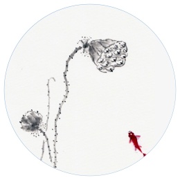 二十四节气水墨插画寒露