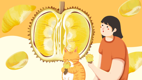 水果榴莲包装插画卡通人物猫咪插画