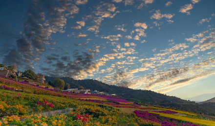 四川省攀枝花自然风光