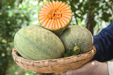 手上拿着一蓝新鲜哈密瓜和蜜瓜果肉