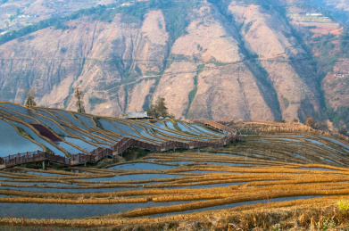 中国四川攀枝花米易县新山村栗栗梯田