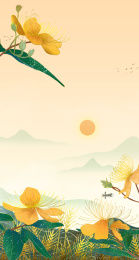 二十四节气之芒种-芒种花